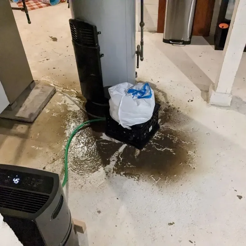 Sewage Backup Cleanup Service in City of Salem, VA